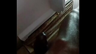 1507701169730