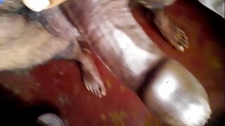 Indian big dick showing